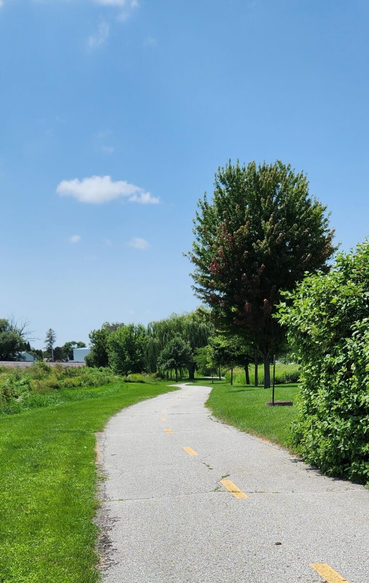 A paved pathway with yellow dashed lines winds through a park on a sunny day. Lush green grass, bushes, and trees flank the path. The sky is clear and blue, with a few scattered clouds.