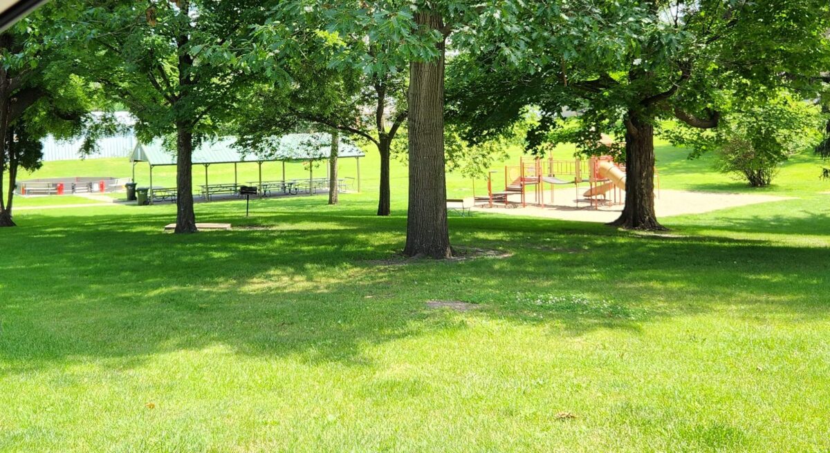 A lush green park with large trees providing shade. In the background, there is a play area with slides and climbing equipment on a sandy surface. Nearby, picnic tables with a shaded canopy are visible. The park is well-maintained and bathed in sunlight.