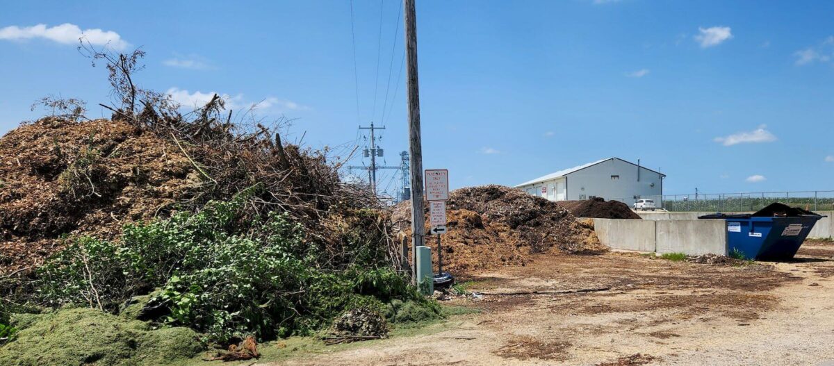 A recycling facility with large piles of yard waste, including branches and leaves, next to a pole with signs. A blue dumpster and a white building are visible in the background under a clear blue sky with a few scattered clouds.